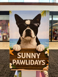 Boston Terrier-Summer Canvas